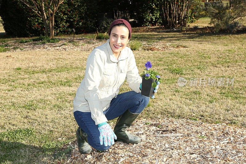 一名妇女通过种植三色堇开始了她的园艺工作