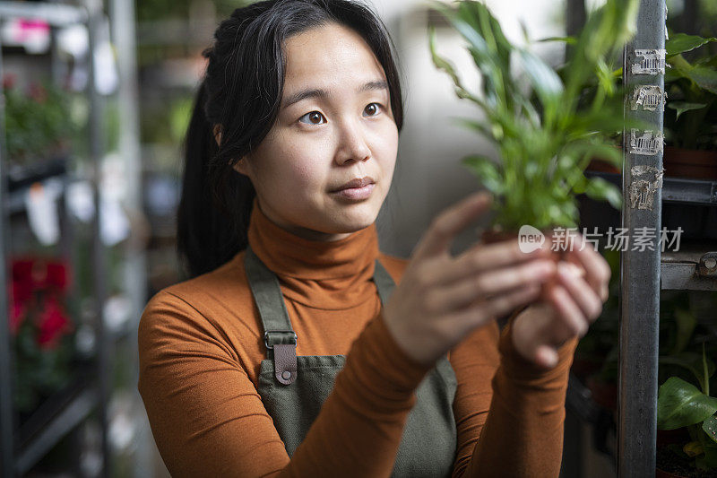 一名妇女在她的小花店里欣赏她的植物。