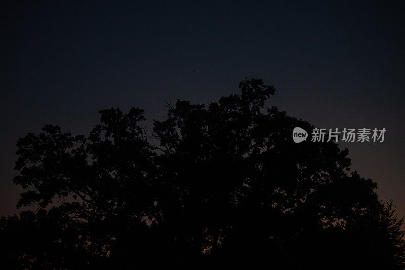 金星夜间照片