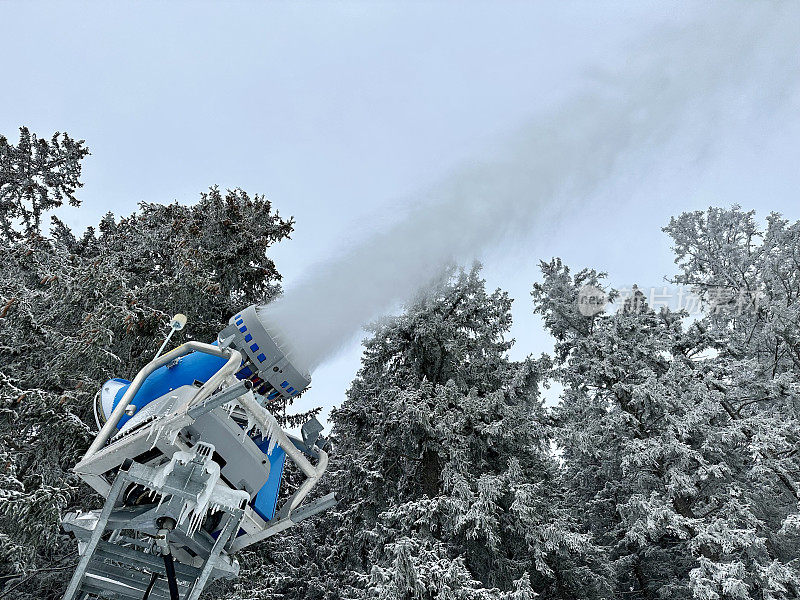 雪炮