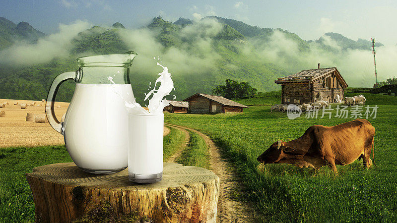 在一个村庄里，有绿色的田野、奶牛、牛脂和山上的房子，新鲜的天然牛奶溅在木桩架上。天然牛奶生态产品。农村景观。农村的观点