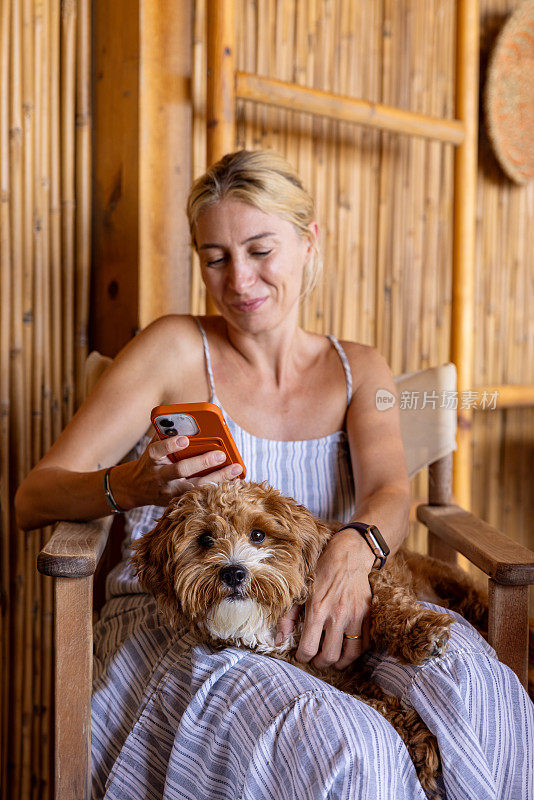 一位中年妇女抚摸着她膝上的白色贵宾犬