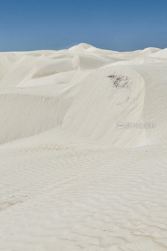 澳大利亚西部的白色沙丘
