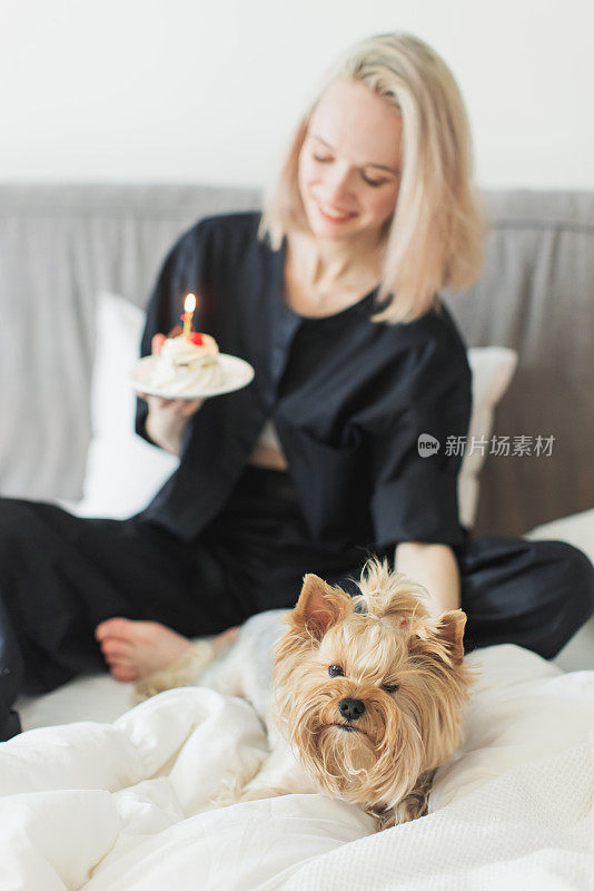 床上有蛋糕的金发女郎。庆祝生日。小的狗。约克郡犬