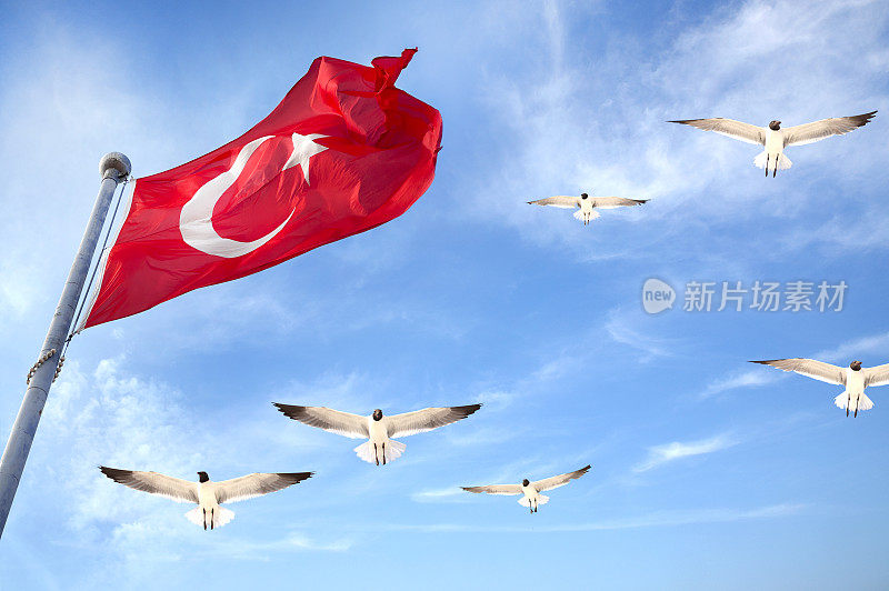 绘有鸟群的土耳其国旗