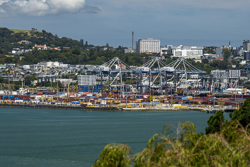 新西兰奥克兰的海港