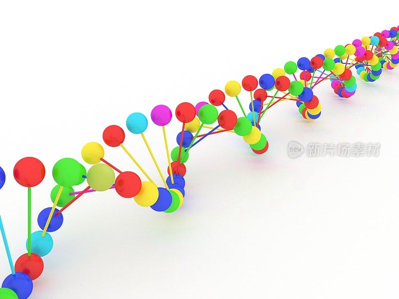 DNA双螺旋分子结构