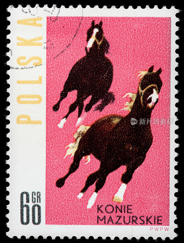 马，老式邮票