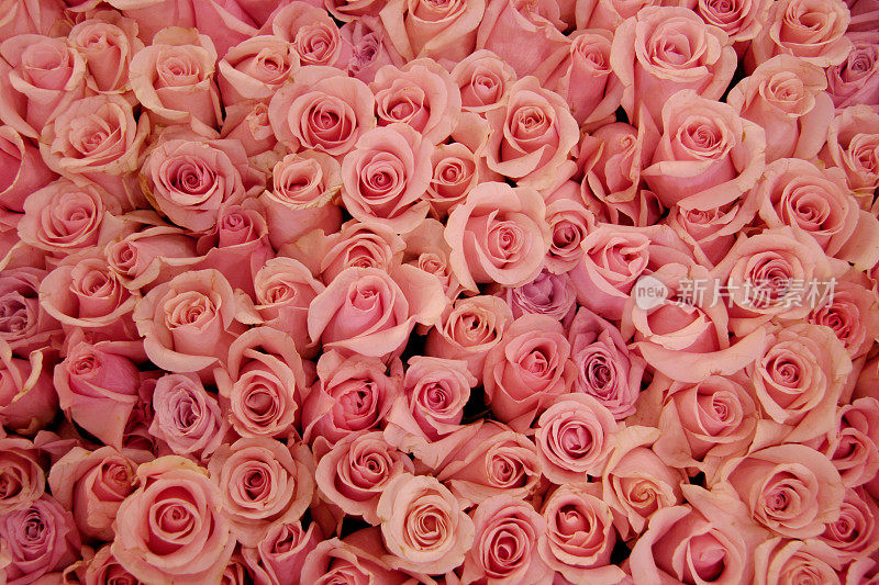 淡粉色玫瑰的床