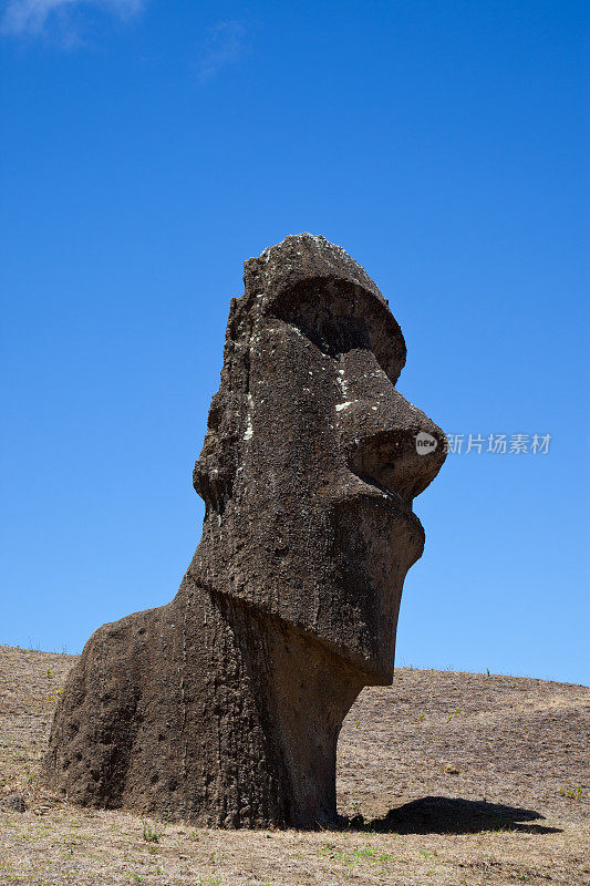 拉诺拉拉库火山的摩艾石像