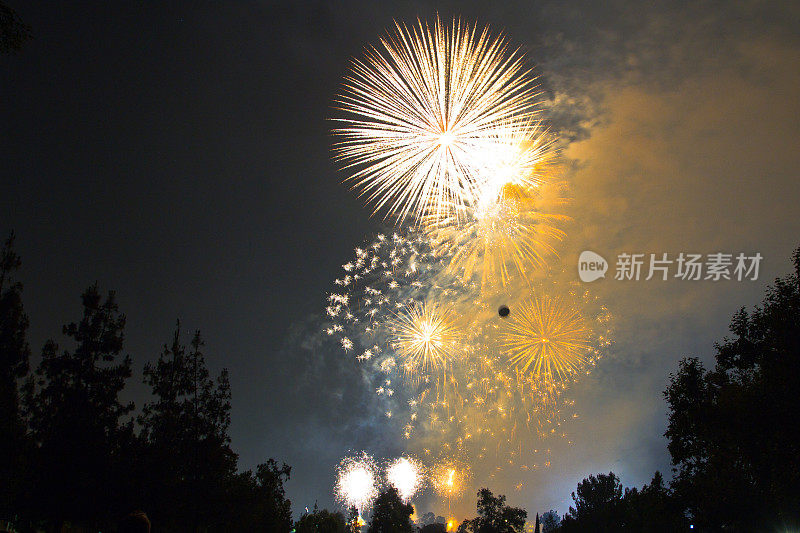 7月4日的烟花庆典，圣诞节和新年