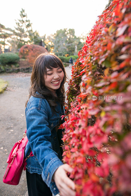 小女孩在玩秋天的树叶