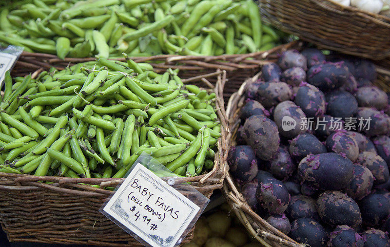 小蚕豆和紫土豆