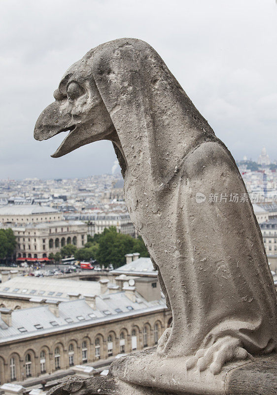 巴黎圣母院的滴水嘴兽