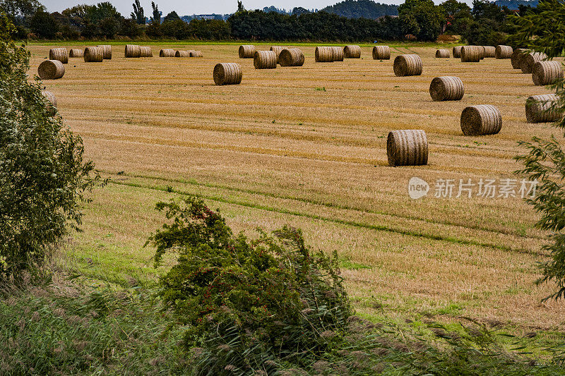 农业田顶天景观