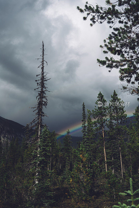 彩虹出现在暴风雨中在山区