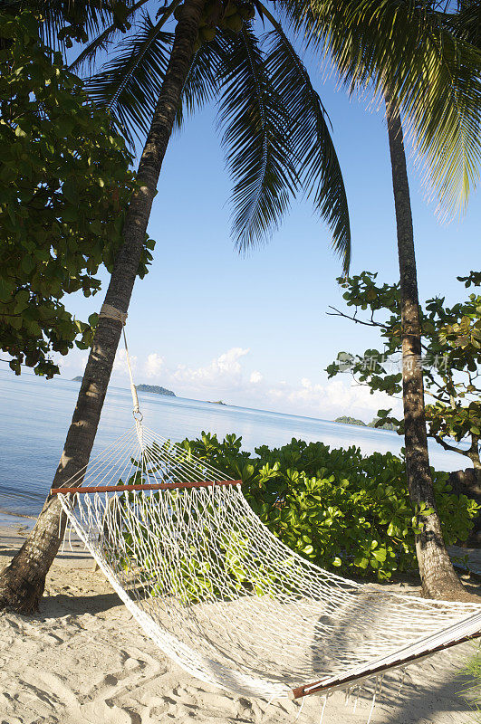 吊床伸展在棕榈树热带海滩