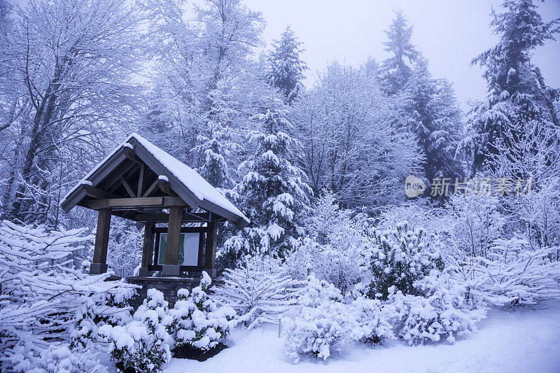 这是华盛顿州的第一场雪