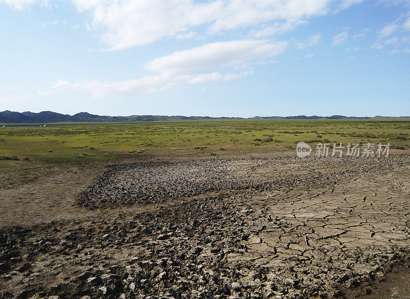 新疆干旱地区