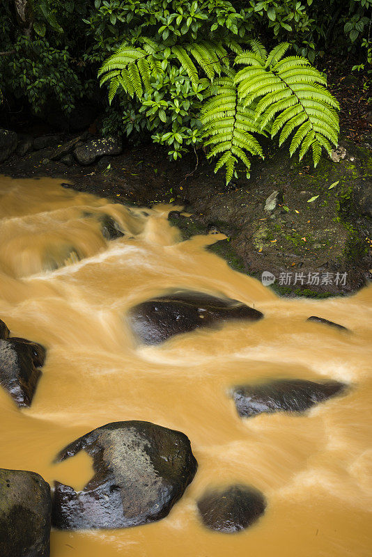 XXXL:热带雨林中的泥沙流