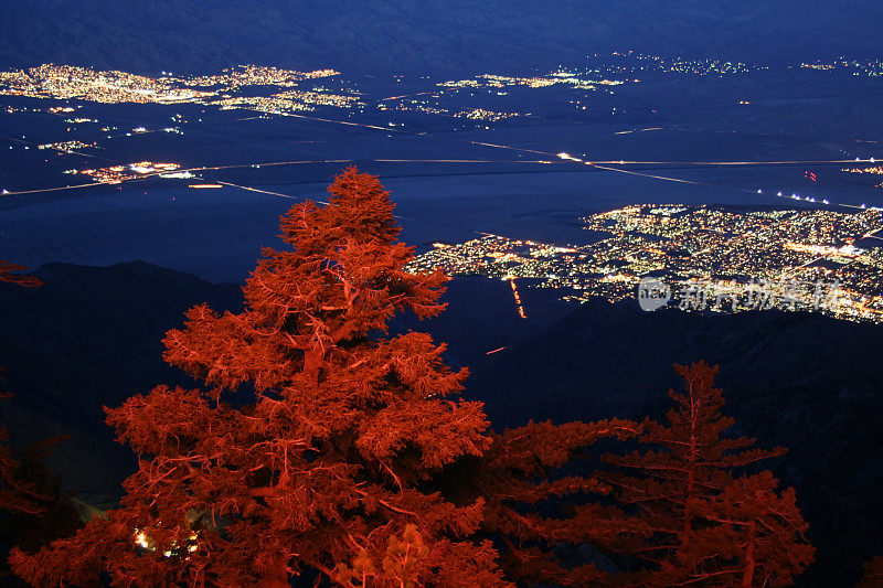 棕榈泉的夜景