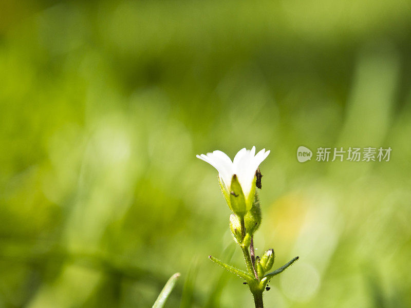 春季健康，宏观细节