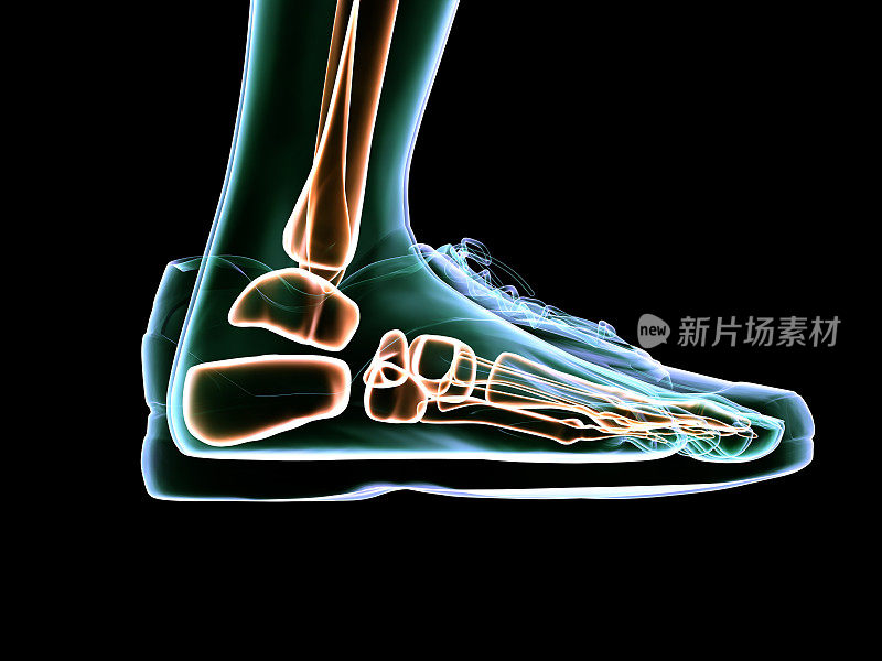 x光脚扫描和鞋设计