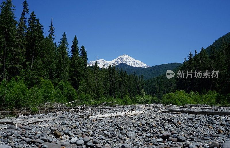 雷尼尔溪谷