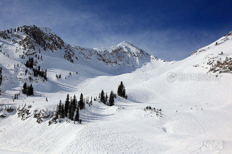 野外滑雪在粉末雪上的新鲜轨迹
