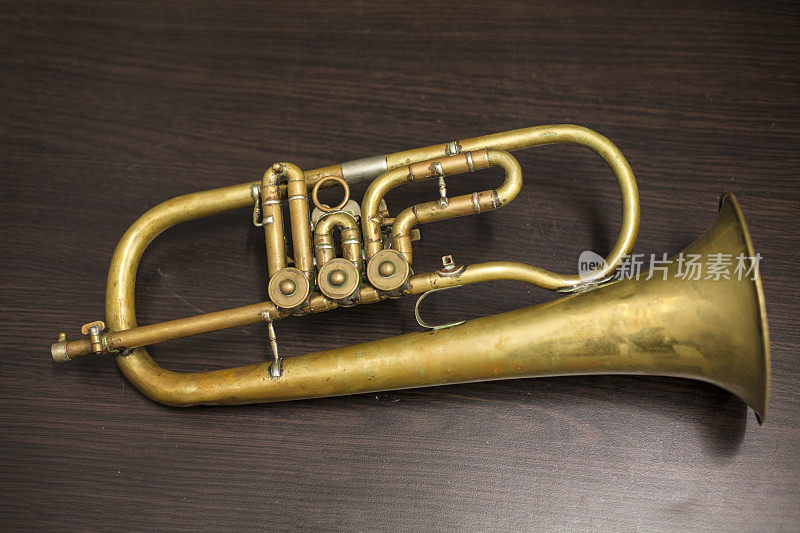 大号,铜管乐器