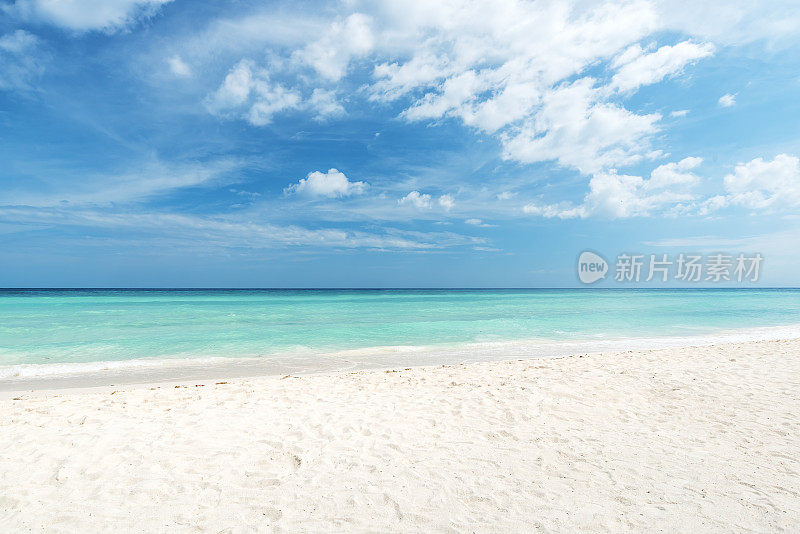 夏天海滩背景