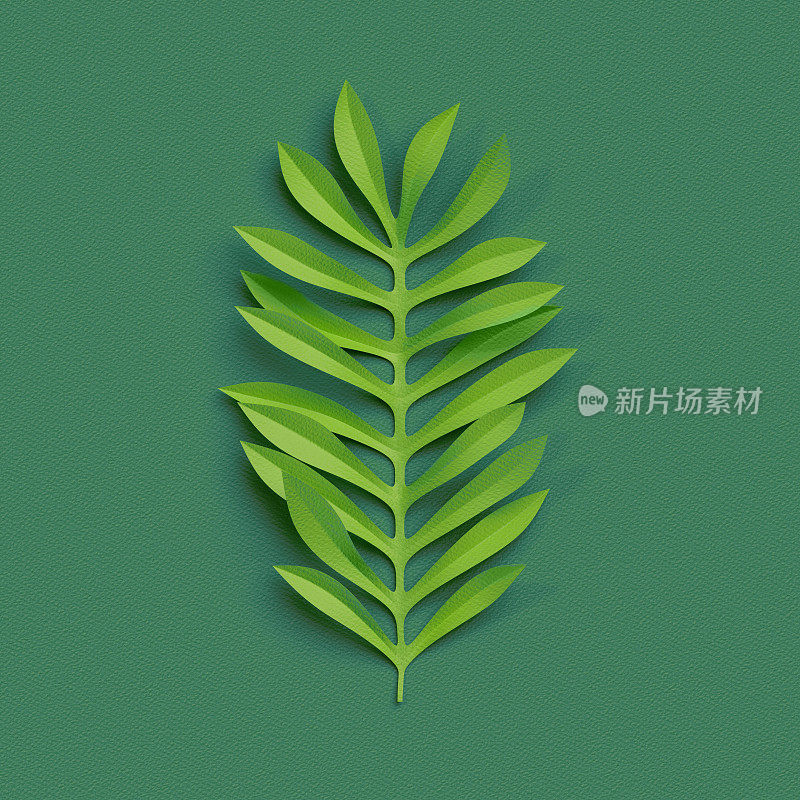 3d渲染，剪纸装饰，绿色热带树叶，孤立的植物剪辑艺术元素