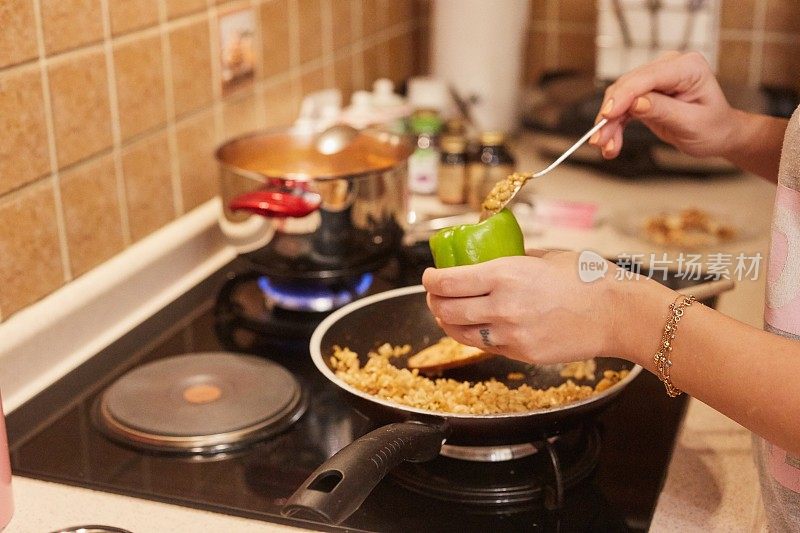 一个在家里做饭的女人