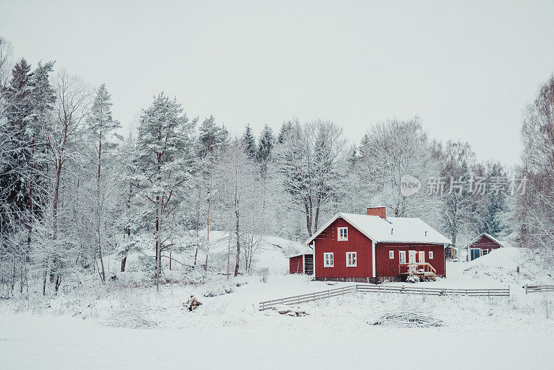 红农舍的房子在乡村的冬季雪景观