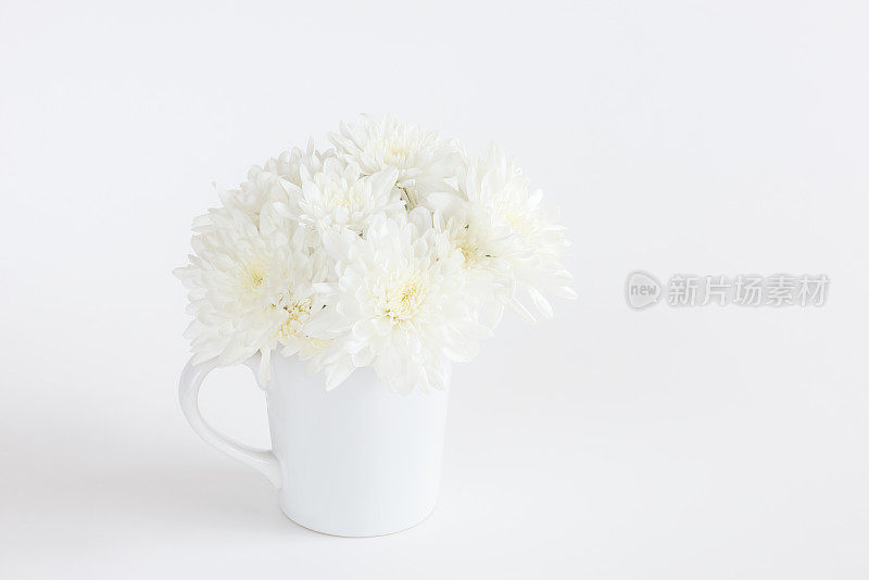 白色背景的陶瓷杯上放置白色的菊花花，文字、标志、文字的插入或装饰空间，天真的白色爱情概念，特别的婚礼，母亲节，情人节