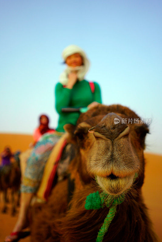 女人在骆驼