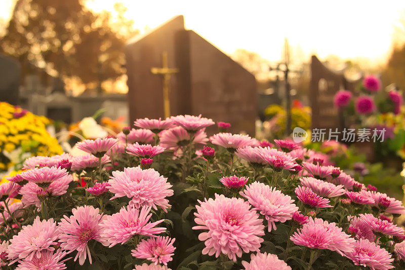 墓地上的鲜花