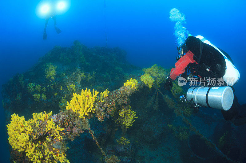 潜水技术潜水员探索和享受沉船潜水海上生命潜水夫妇水上运动技术潜水水肺潜水员的观点