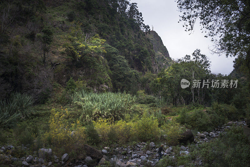 马德拉景观，诺瓦和莫伊尼奥莱瓦达步行