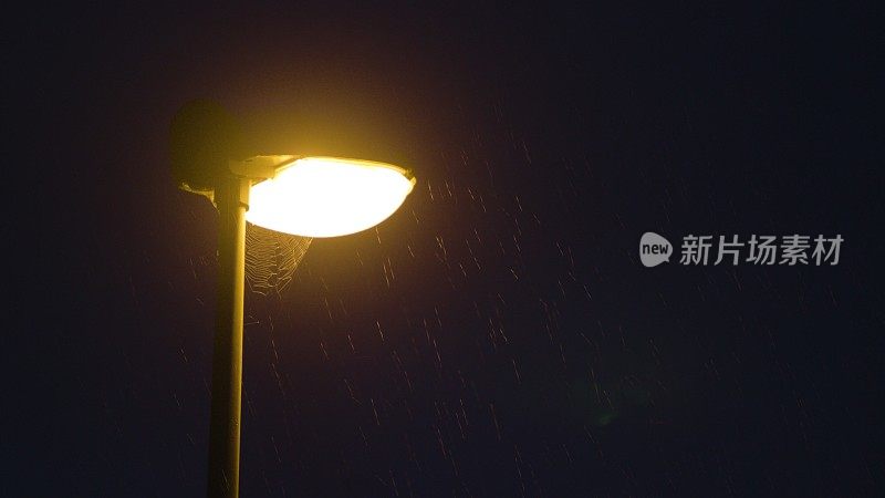 雨夜。孤独的路灯柱