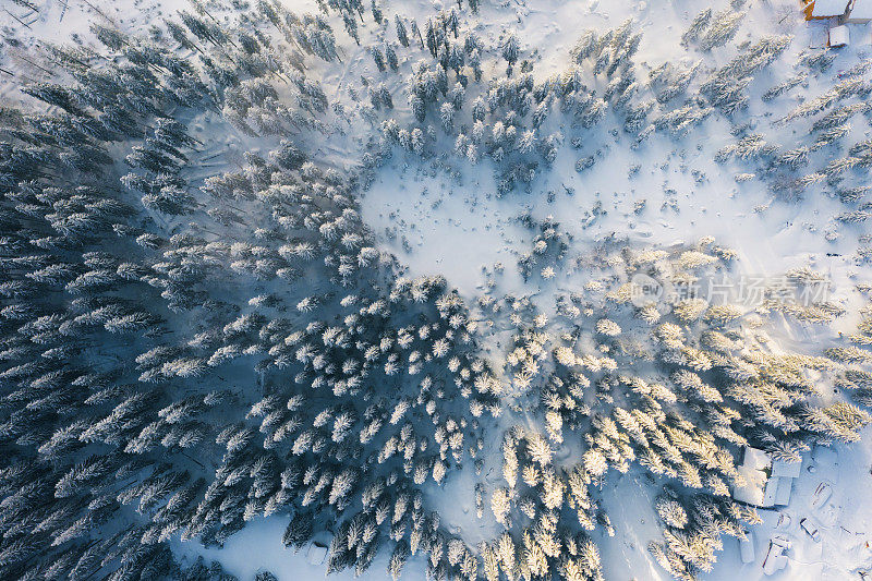 喀尔巴阡山脉冬季森林鸟瞰图