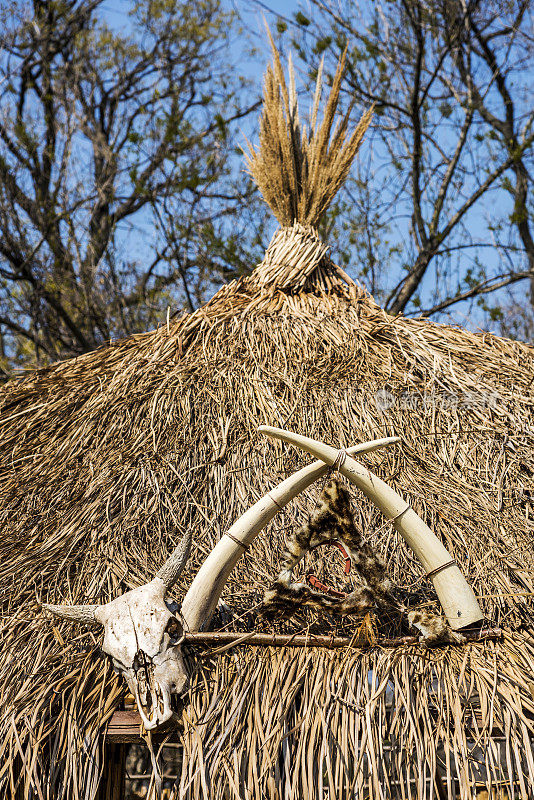 森林中茅草屋屋顶上的动物头骨和角
