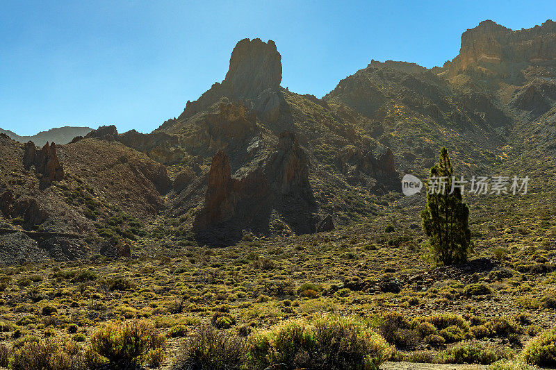 Teide山景观，Teide火山和Teide国家公园的熔岩风景-特内里费，西班牙