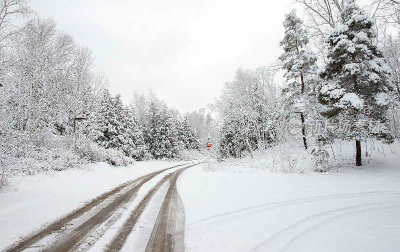 在加拿大安大略省的林地里，大雪过后的路