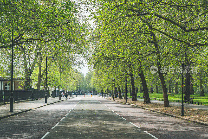 英国威斯敏斯特公园绿地小路白天的风景