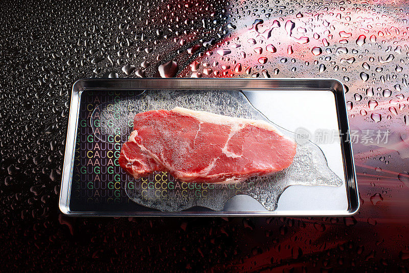 将人造牛肉浸泡在盛有培养液的不锈钢托盘中。背景是细胞图像和信使rna编码。