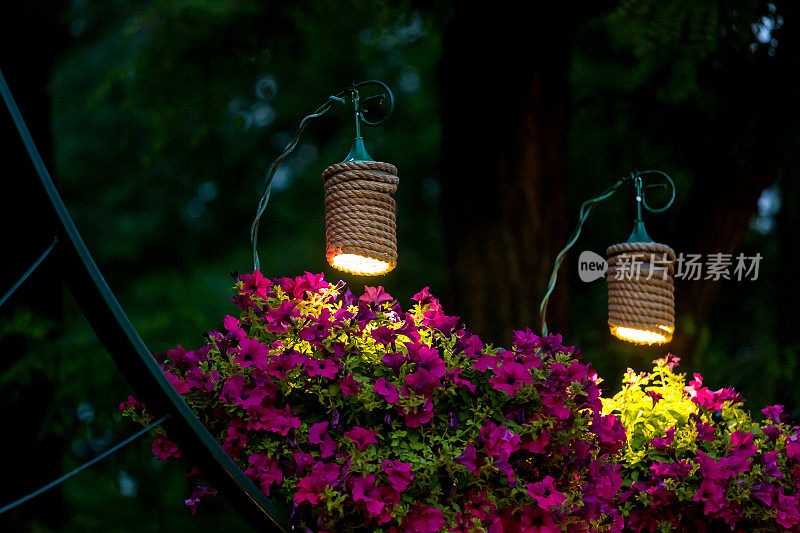 两盏装饰灯笼用于照明挂着矮牵牛花的花盆在后院的傍晚花园，一个近景的夜景美化无人。