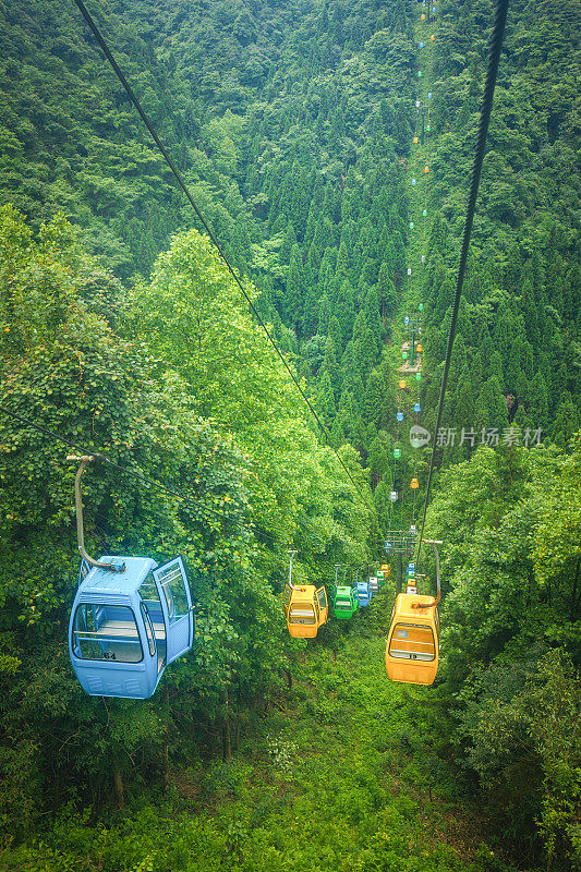 电缆小屋森林