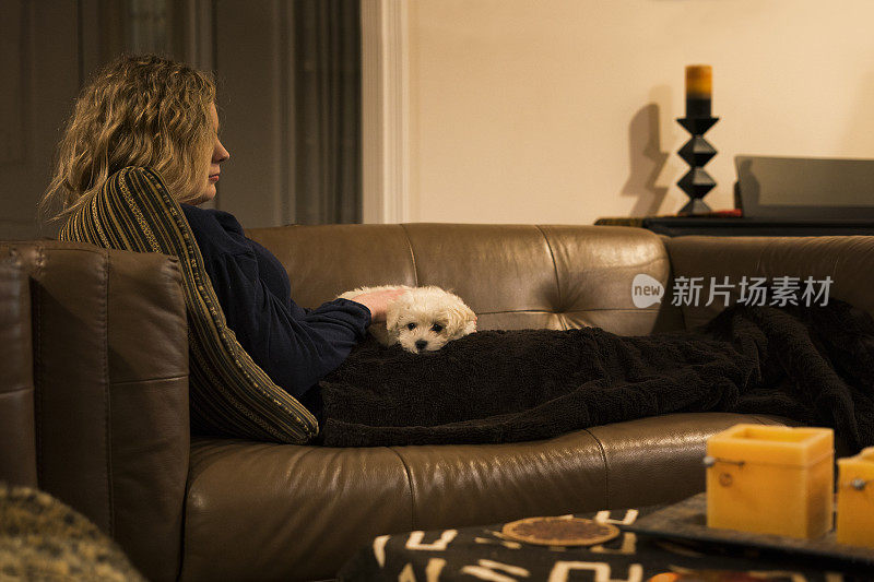 青少年放松在沙发上与小狗