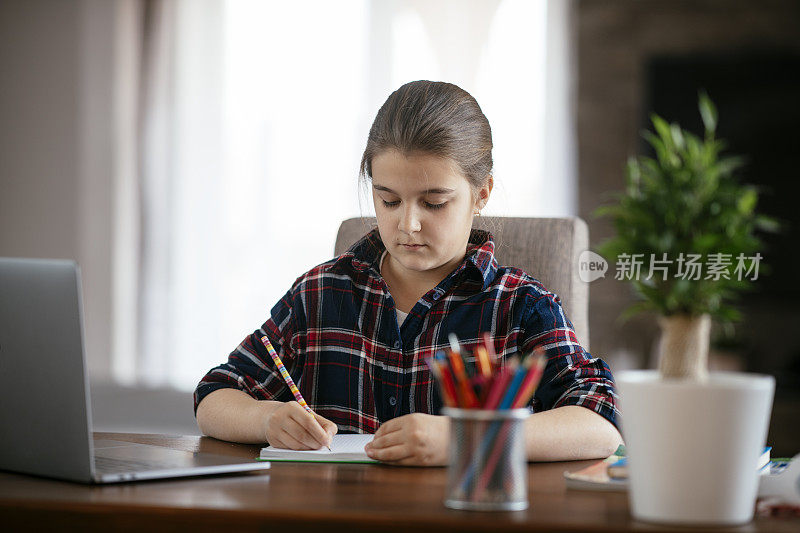 年轻女孩坐在客厅的书桌前用笔记本电脑做作业